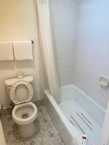 Executive Inn Mercedes Weslaco Экстерьер фото